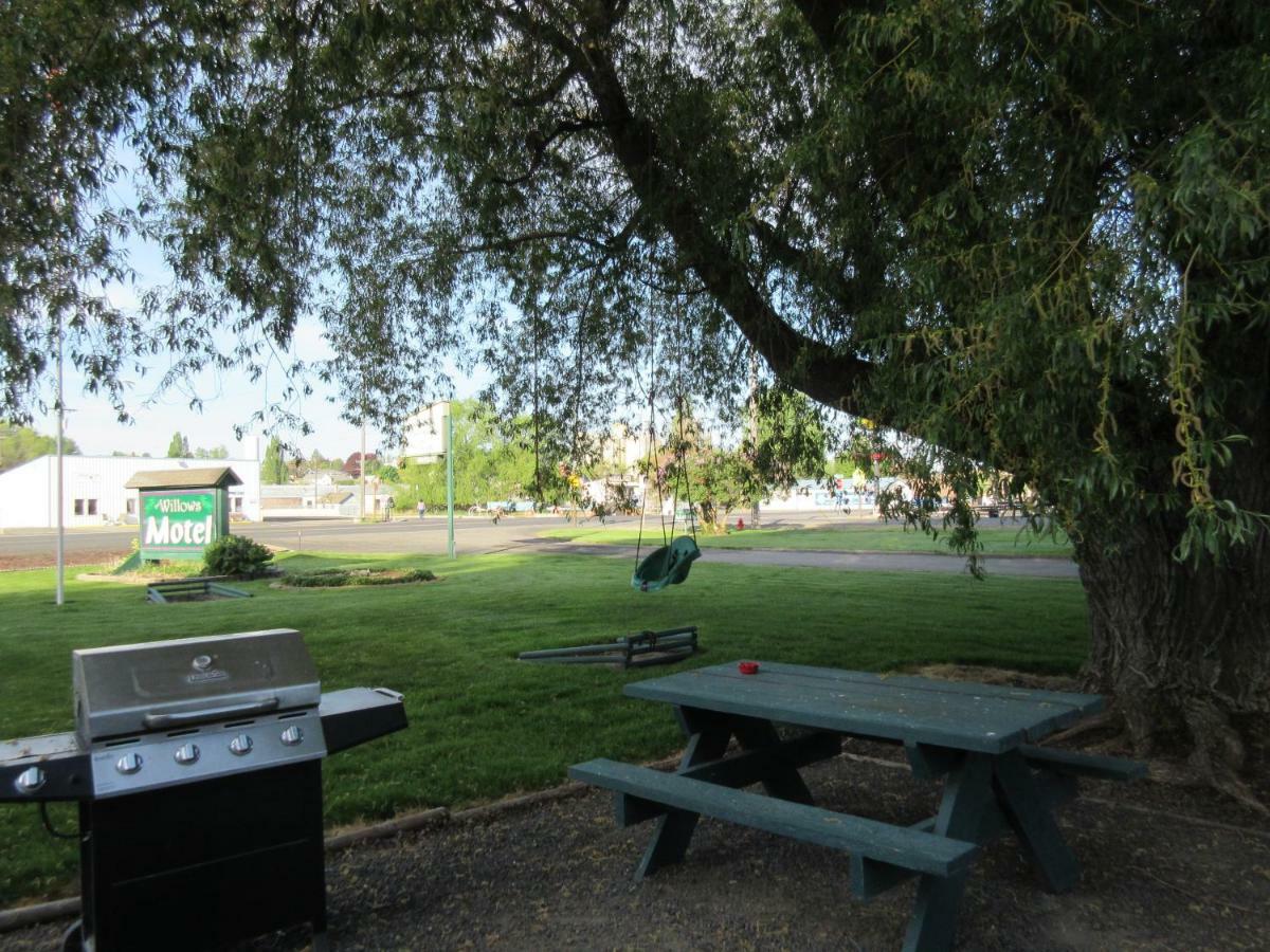 The Willows Motel Wilbur Dış mekan fotoğraf